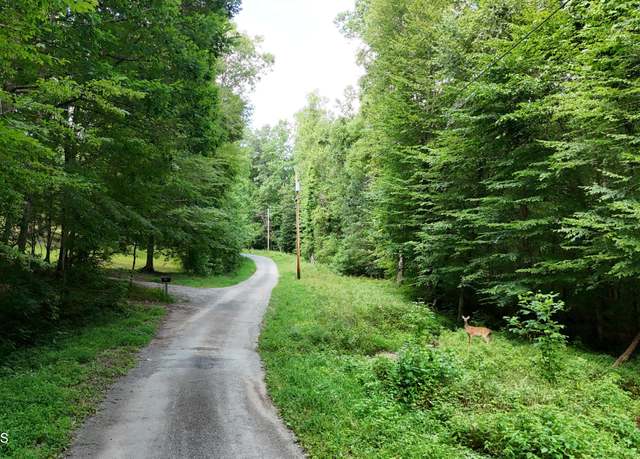 Property at Lot 13/14 Clifton Cemetery Rd, Spring City, TN 37381