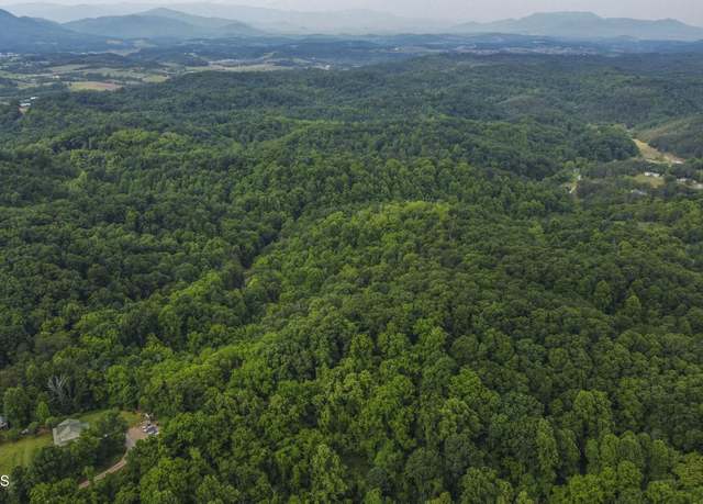 Property at 0 Looney Road Rd, Parrottsville, TN 37843
