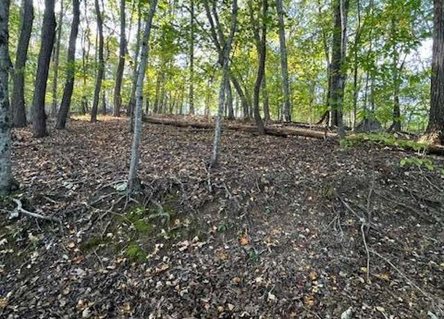 Property at Laguna Vista Dr, Caryville, TN 37714