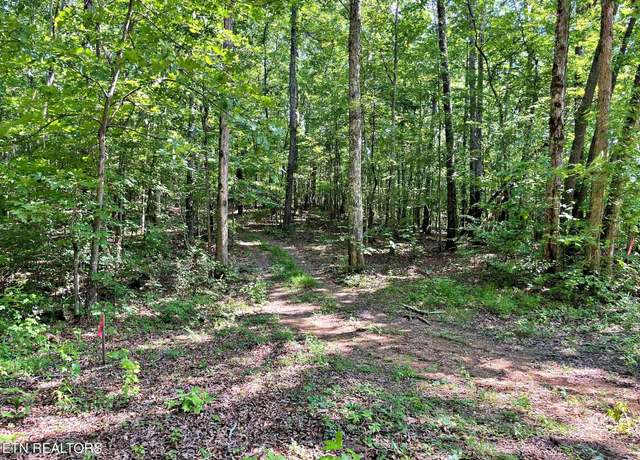 Property at Lot 4 Raby Hollow Rd, Kingston, TN 37763