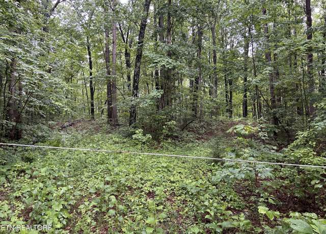 Property at Panther Branch Rd, Jamestown, TN 38556