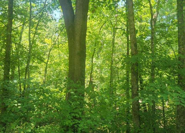 Property at Shadden Rd, Tellico Plains, TN 37385
