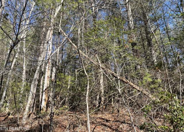 Property at 24 Chipman Ct, Crossville, TN 38558