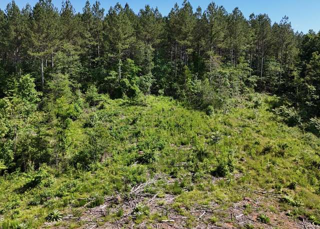 Property at Lot 4 Lamontville Rd, Decatur, TN 37322