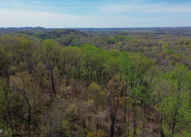 Property at Knob Rd, Vonore, TN 37885