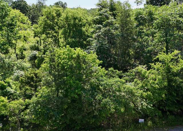 Property at Lot 5 Lamontville Rd, Decatur, TN 37322