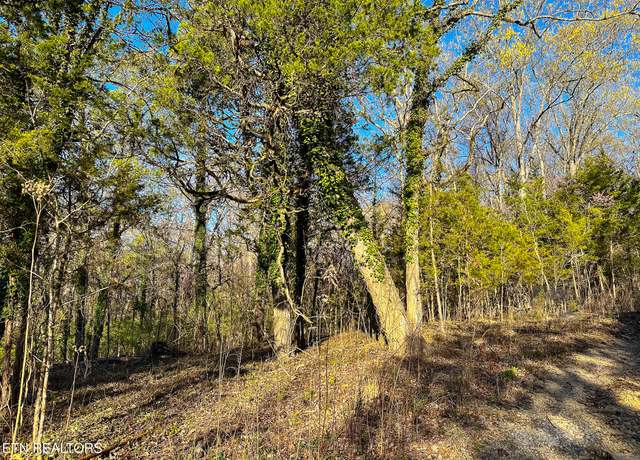 Property at Haven Hill Rd, Louisville, TN 37777