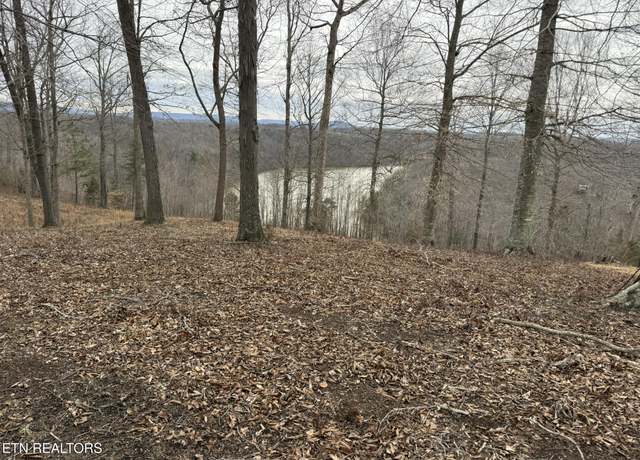 Property at Lot 7 Amonett Rd, Byrdstown, TN 38549