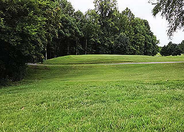 Property at 148 White Hawk Dr, Vonore, TN 37885