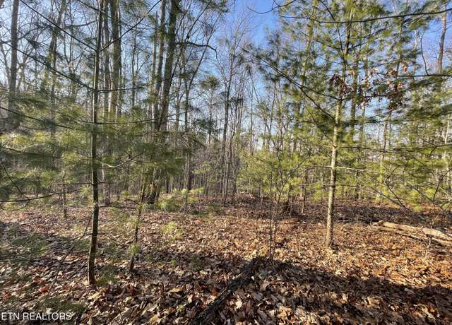Property at 20ac Cooper Hollow Rd, Tellico Plains, TN 37385