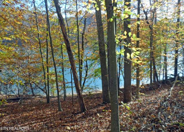 Property at Lot 348 Lick Branch Rd, New Tazewell, TN 37825
