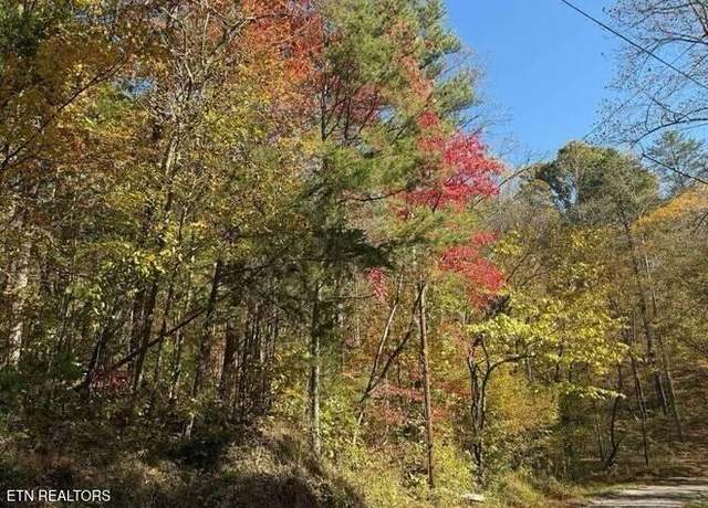 Property at 0 Red River Rd, Englewood, TN 37329