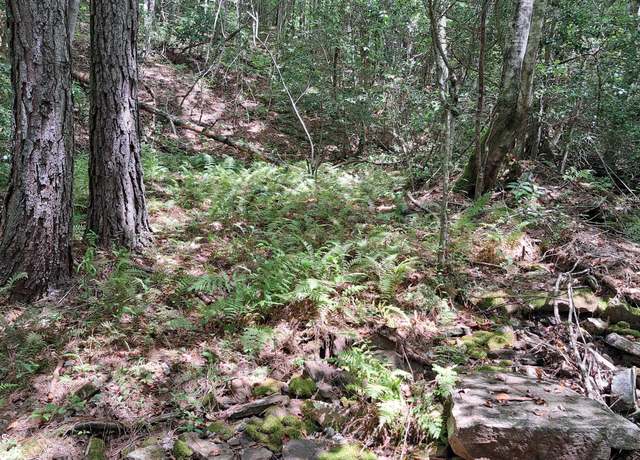 Property at Airport Rd - Lot 18 (pca), Rockwood, TN 37854