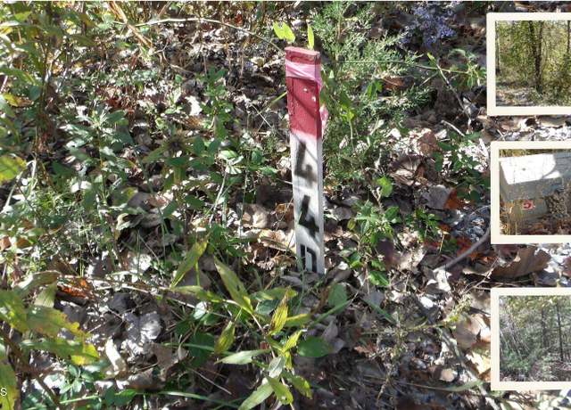 Property at Lot 44D Muskie Ln, Hilham, TN 38568