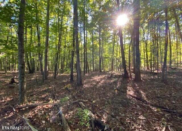 Property at Partridge Trl, Grandview, TN 37337