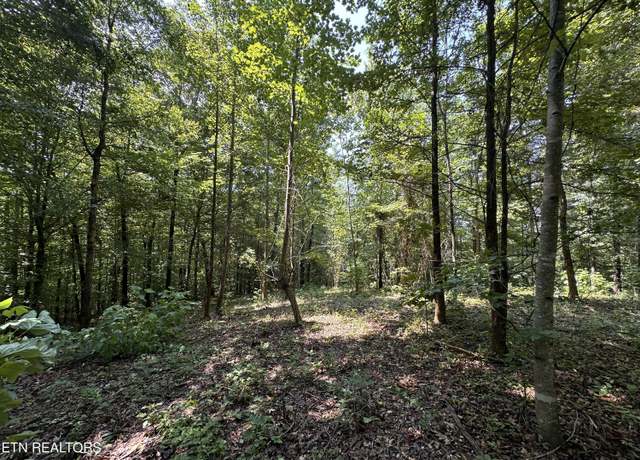 Property at 12.55ac Winningham Rd, Byrdstown, TN 38549
