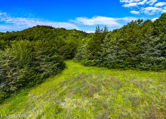Property at Lot 7 Lonesome Pine Rd, Bybee, TN 37713