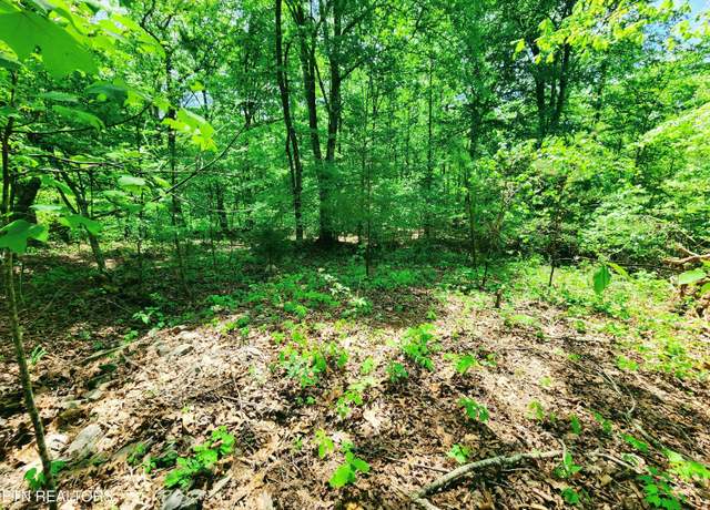 Property at Evergreen Cv, Kingston, TN 37763