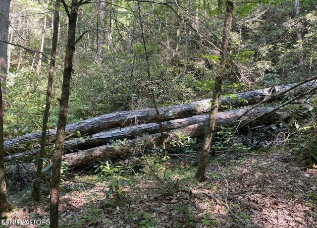 Property at Lot 6 Sycamore St, Sevierville, TN 37876
