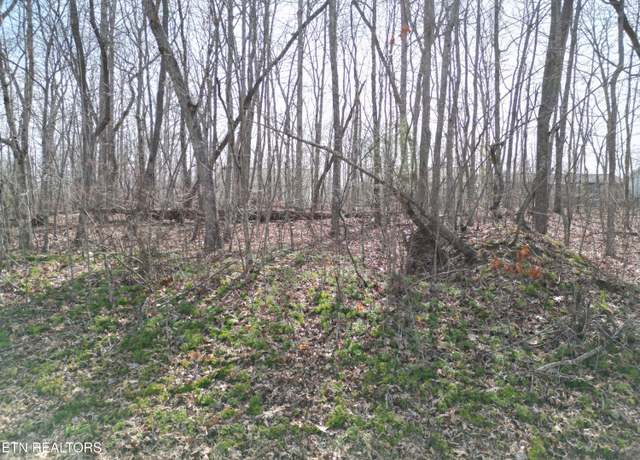 Property at 3 Tama Trce, Crossville, TN 38572