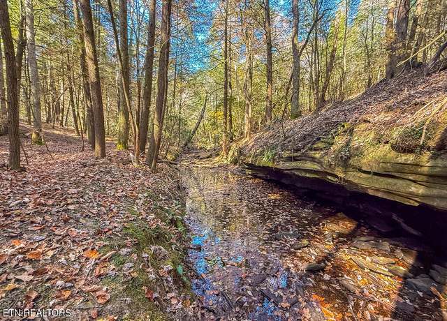 Property at Gatewood Ford Rd, Deer Lodge, TN 37726