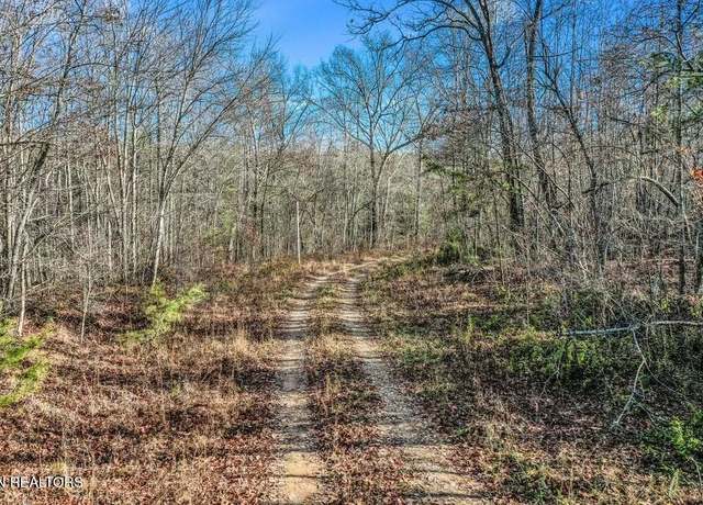 Property at Nashville Ave, Deer Lodge, TN 37726