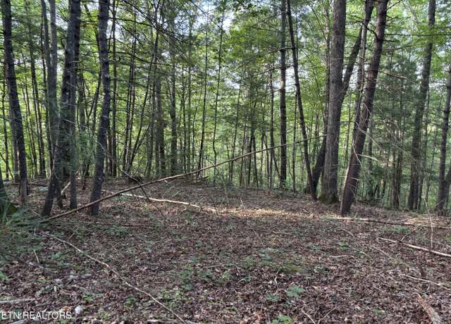 Property at Eagle Ridge Pvt Rd, Huntsville, TN 37756
