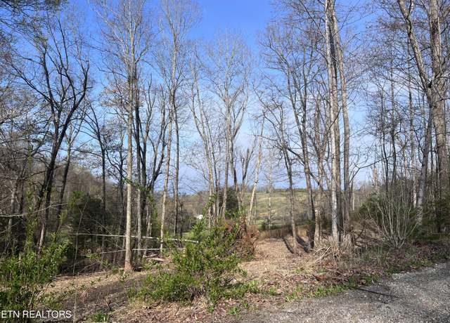 Property at Cole Hollow Rd, New Tazewell, TN 37825