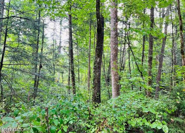 Property at Holly Lane Ln, Sevierville, TN 37862