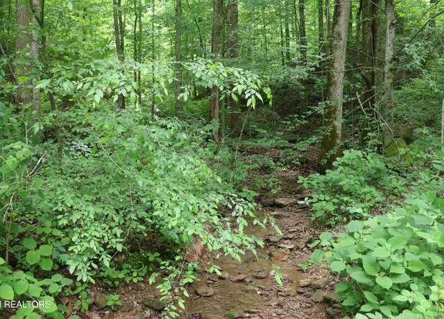 Property at Dry Creek Rd, Jamestown, TN 38556