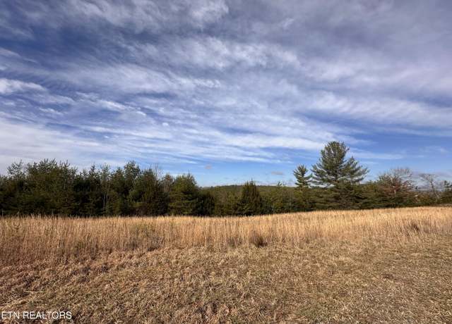 Property at 6.94ac White Crk, Deer Lodge, TN 37726