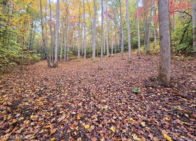 Property at Cara Way, Cosby, TN 37722