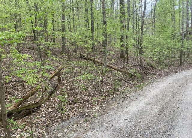 Property at LOT#4,5&6 Lakewood Rd, Maynardville, TN 37807