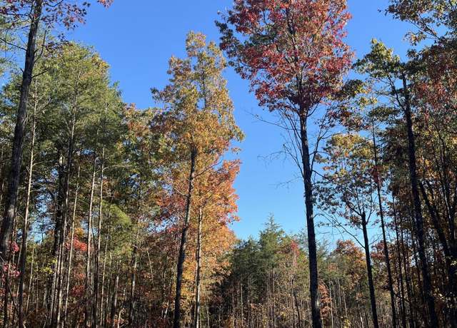 Property at 107 Cherokee Path, Tellico Plains, TN 37385