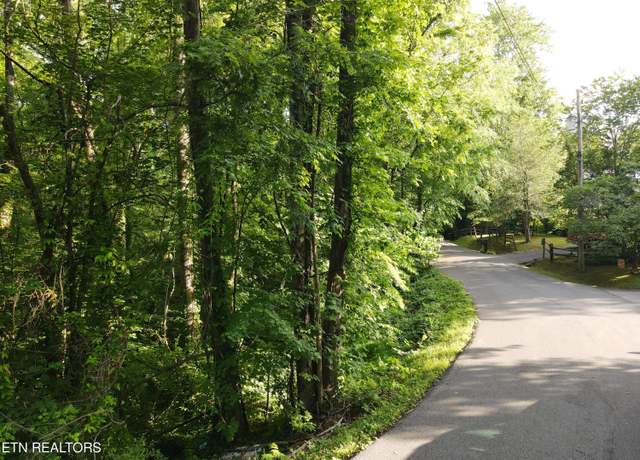 Property at Pine Dr, Pigeon Forge, TN 37863