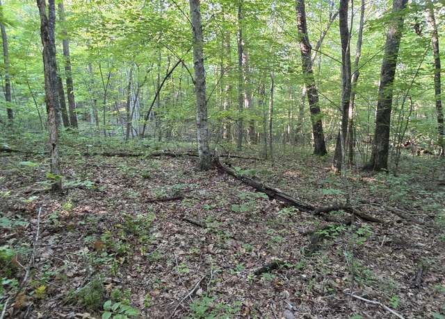 Property at 25 Down Pl, Monterey, TN 38574