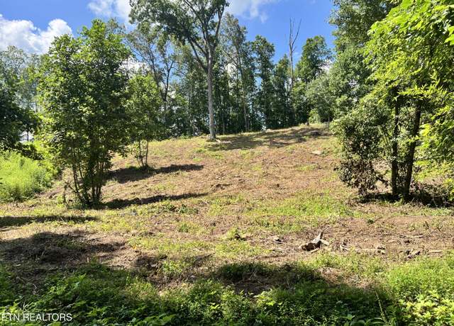 Property at lot 1 Arwine Rd, Decatur, TN 37322