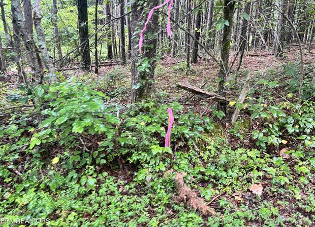 Property at Lot 4 Prigmore Ridge Rd, Decatur, TN 37322