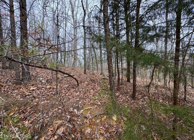 Property at 1138 Mayflower Ln, Dandridge, TN 37725