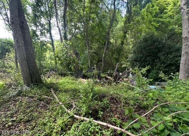 Property at Gobble Dr, Rose Hill, VA 24281