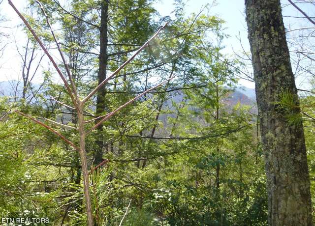 Property at Lots 24&25 Sonshine Ridge Rd, Cosby, TN 37722