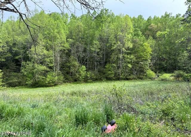 Property at 454 Atkins Rd, New Tazewell, TN 37825