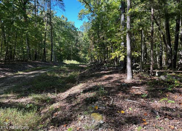 Property at Lot 352 Diana Dr, Spring City, TN 37381