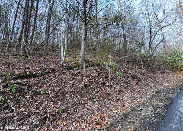 Property at Black Gum Rd, Gatlinburg, TN 37738