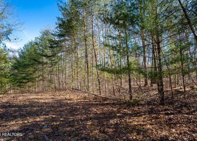 Property at 36 Artella Cir, Fairfield Glade, TN 38558