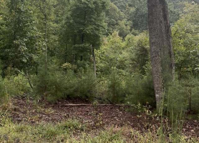 Property at 2029 Duck Cove Dr, Knoxville, TN 37922