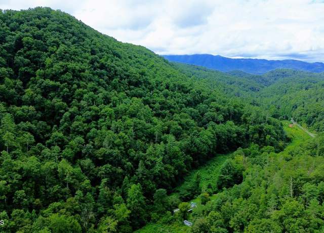 Property at Carrs Creek (38 Acres) Rd, Townsend, TN 37882