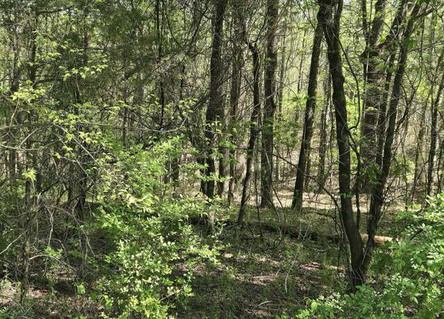 Property at Lot 68 King Hill Rd, Spring City, TN 37381