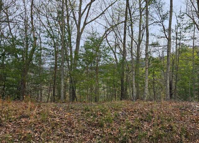 Property at Hickory Tree St, Sevierville, TN 37876