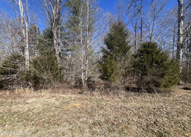 Property at 209 Appaloosa Trl, Rockwood, TN 37854